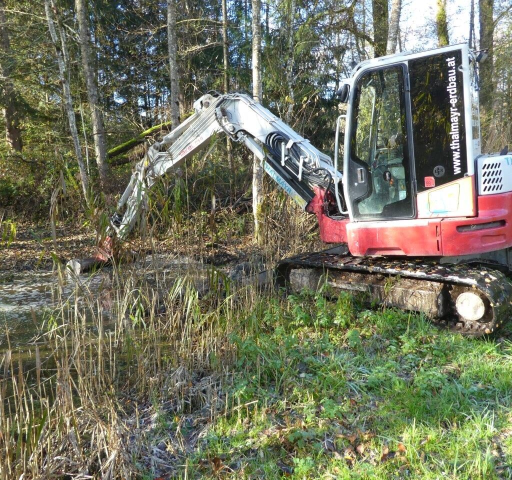 Es herbstelt im Bürmooser Moor