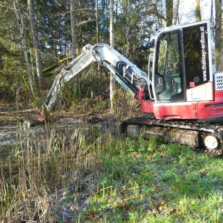 Es herbstelt im Bürmooser Moor