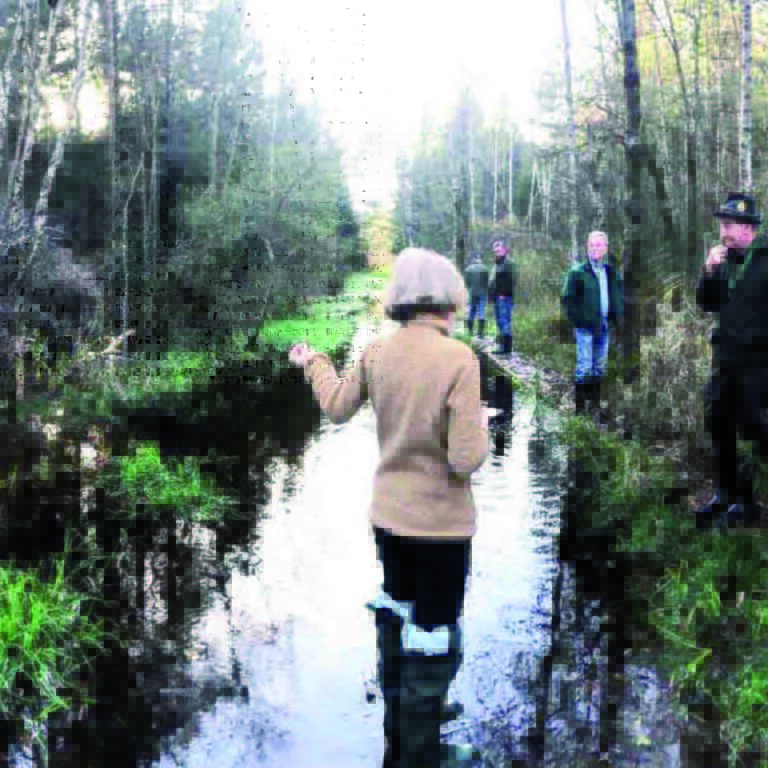 Überflutung des Rundweges durch Einbau einer „Biberdrainage“ beseitigt