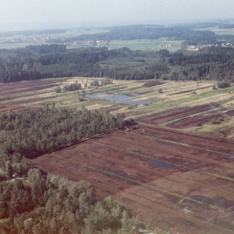 Bürmooser Torffeld