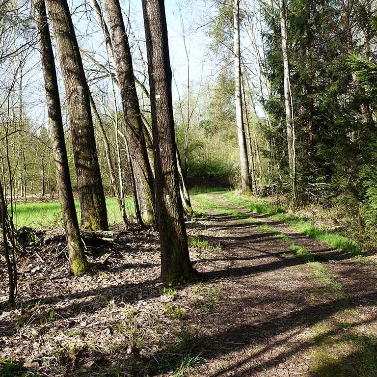 Moorwanderweg