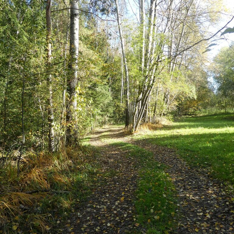 Moorerlebnisweg Bürmoos