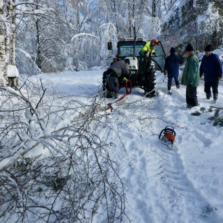 Schneebruch Torferneuerungsverein Bürmoos