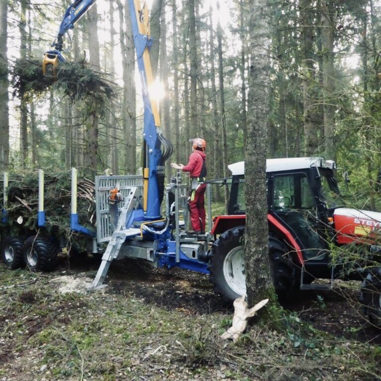 Gemeinsam für den Erhalt unseres Waldes und Torffelds