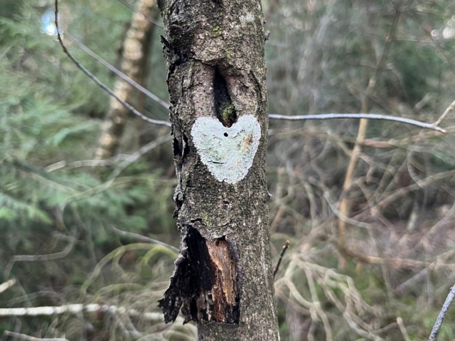 Frühlingserwachen