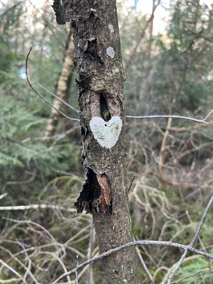 Frühlingserwachen