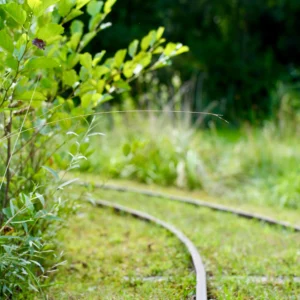 Tag der Natur