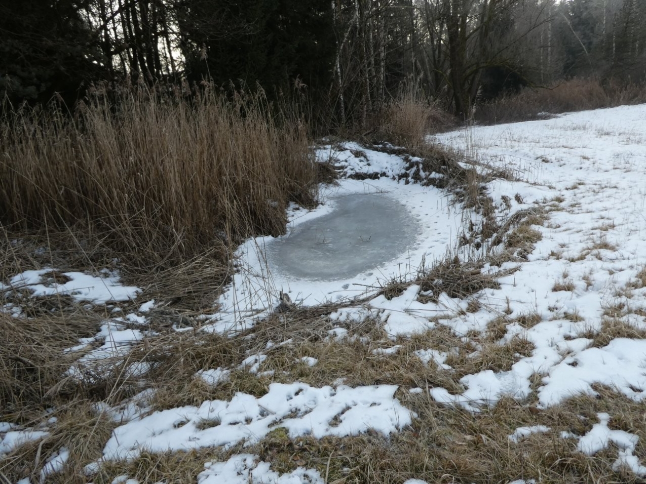 Winter Pflegearbeiten