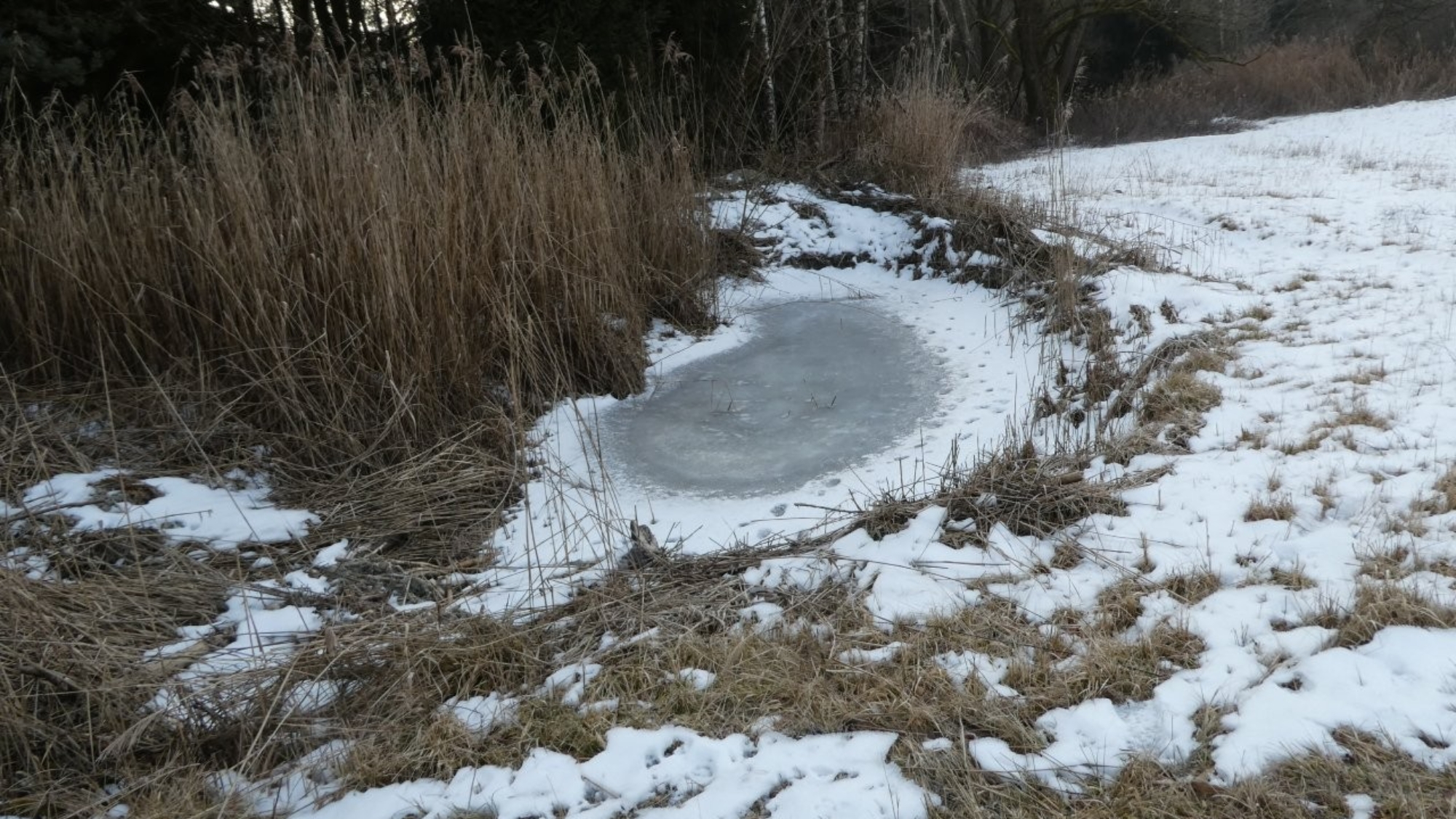 Winter Pflegearbeiten