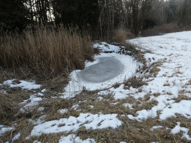 Winter Pflegearbeiten