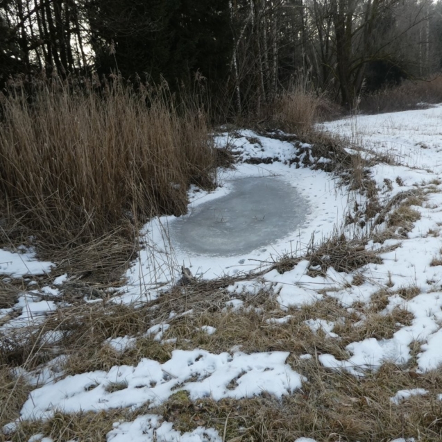 Winter Pflegearbeiten