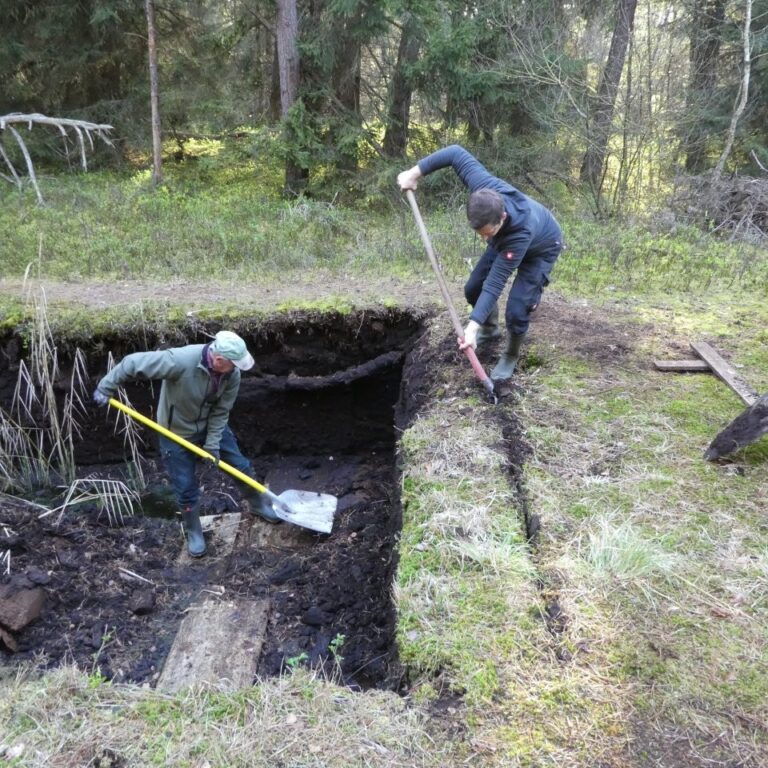 Arbeitseinsätze