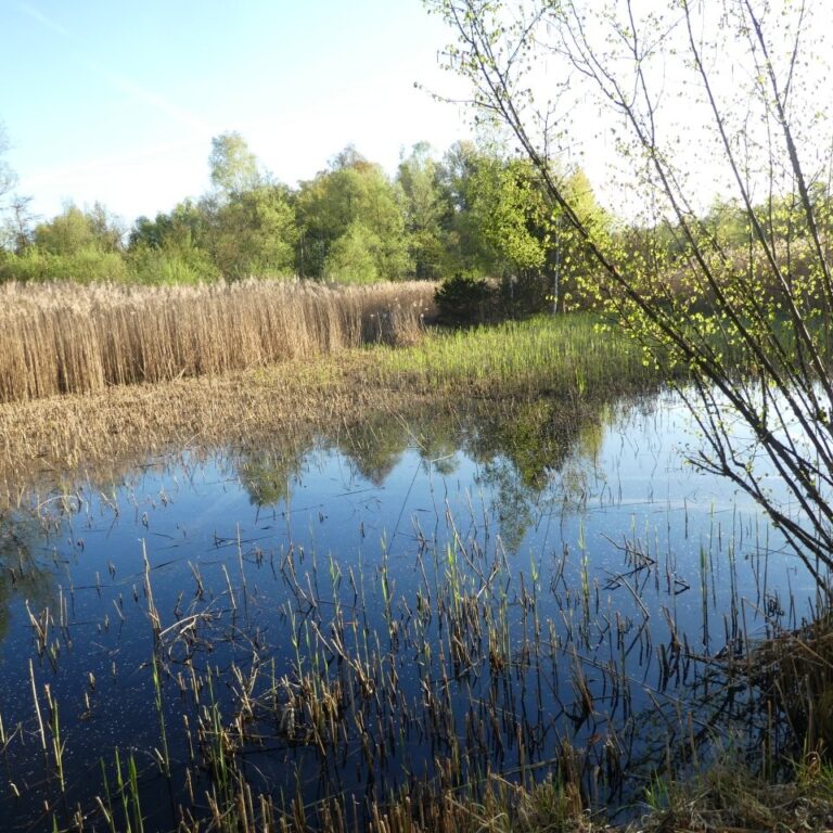 Arbeitseinsätze