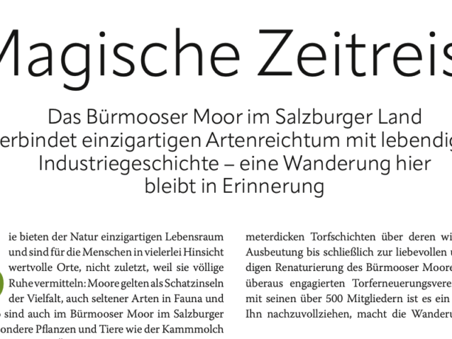 Südbayrische Zeitung