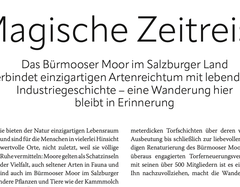 Zeitreise durchs Bürmooser Moor