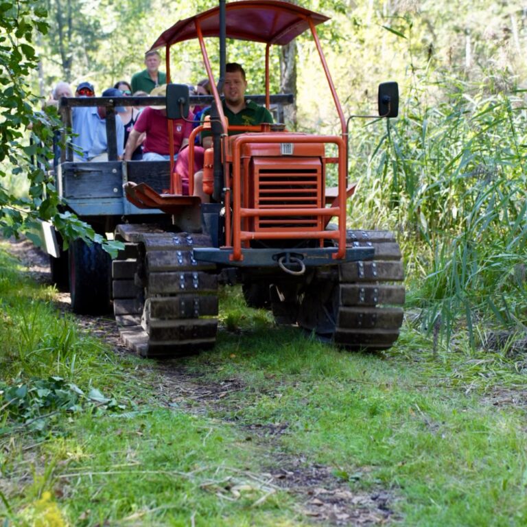 Tag der Natur im Moor, 30. August 2026