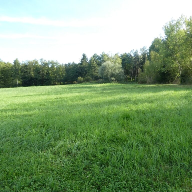Lambrechtmoos, September 2026