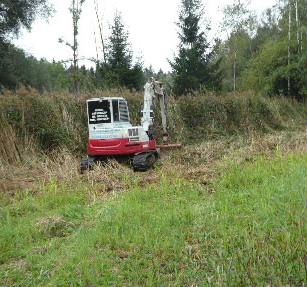 Die Krickentenlacke im Rodingerwinkel ist fertig