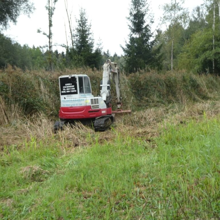 Im Rodingerwinkel entsteht ein neues Flachgewässer
