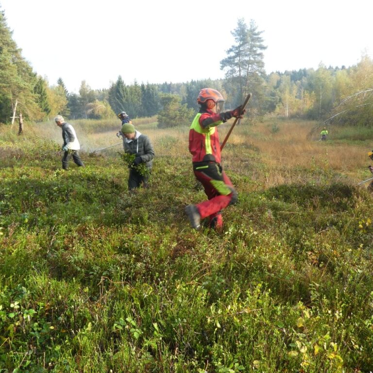 Wo noch der Sendl blüht: Die Moorheide ist wieder offen