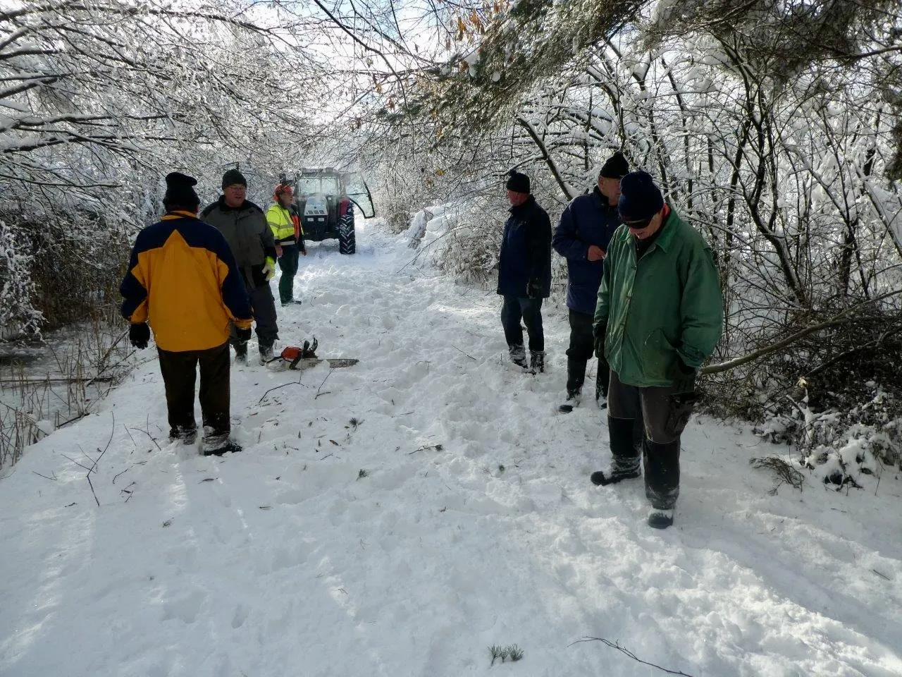 Nach dem Schneebruch