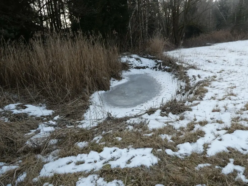 Im Winter trägt der Boden