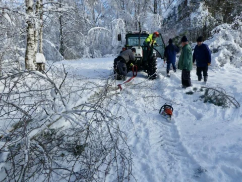 Schneebruch Torferneuerungsverein Bürmoos