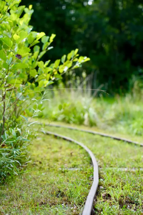 Tag der Natur