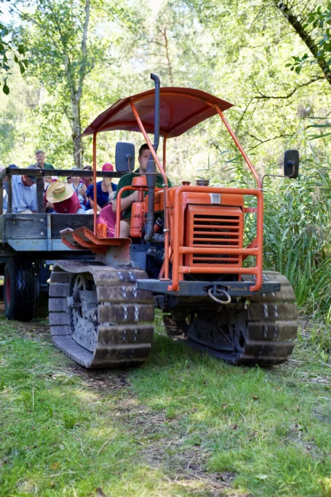 Tag der Natur im Moor, 30. August 2026