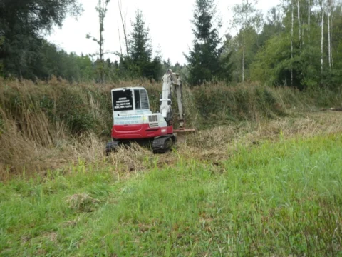 Der Bagger am Rand des hohen Schilfs